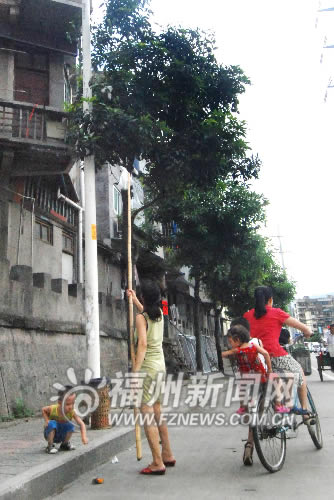 路邊芒果不要采　長(zhǎng)期吸收尾氣食用有害健康(圖)