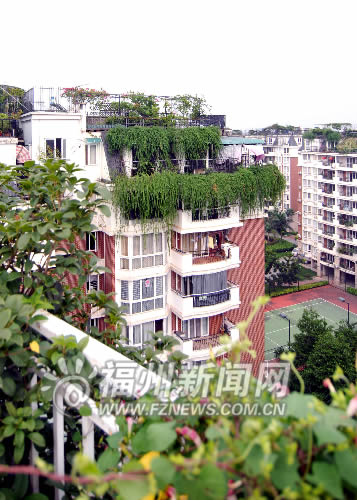 福州擬普及屋頂綠化　園林局正編制相關技術導則