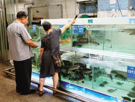 水產批發市場淡水魚供應正常　榕淡水魚價格穩定
