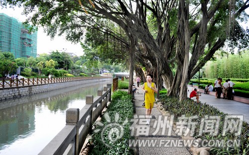 福州綠滿城環境質量持續良好　節能減排成效顯著