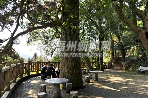 鼓嶺未來建設定位　吃住行游購娛將會全面大升級