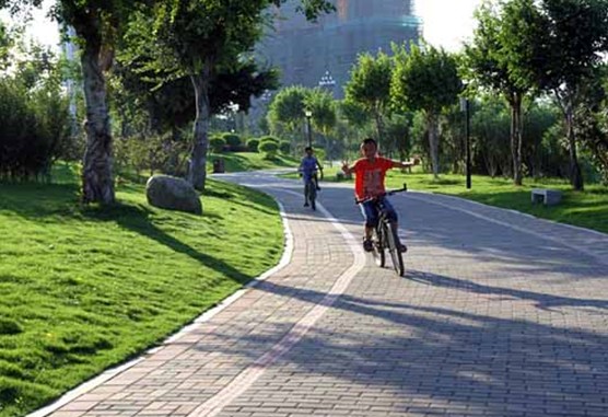 Jinjiang to forge high-quality city