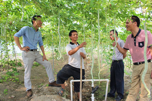 Pingnan puts efforts into rural poverty alleviation