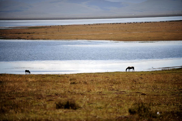 Gahai lake, the biggest freshwater lake in Northwest China’s Gansu province, Sept 13, 2012. Gahai Lake (Gannan)