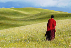 A glimpse of Tibetan culture in Gannan