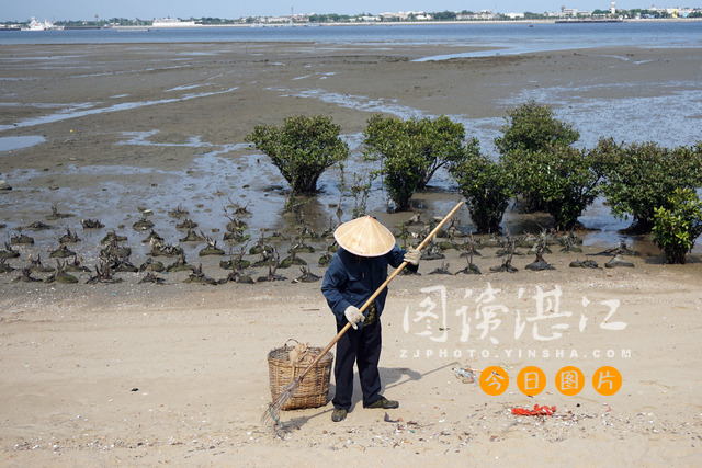 Heat wave hits Zhanjiang