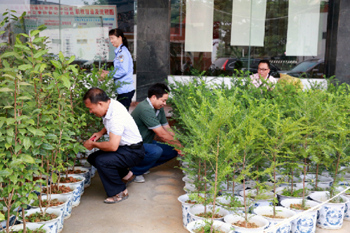 Tian’e develops demonstration department in garden city construction