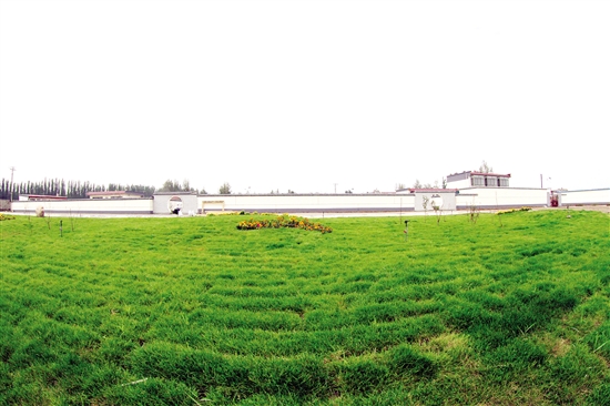 Baotou on its way to becoming an ecological city