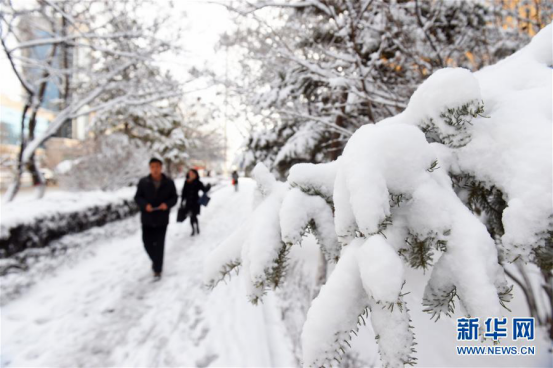 Spring snow blankets Hohhot