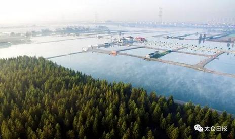 Winter fishing: Taicang's bracing Chinese New Year tradition