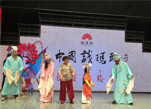 Foreign guests take helter-skelter tour of Wuxi