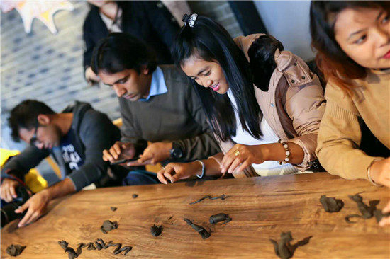 Foreign students embrace Wuxi's cultural legacies
