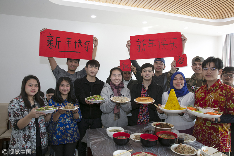 Intl students in Wuxi enjoy Chinese New Year festivities