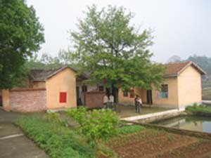 Huang’ao lentinus edodes