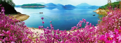 NE China and Taiwan open a novel connection