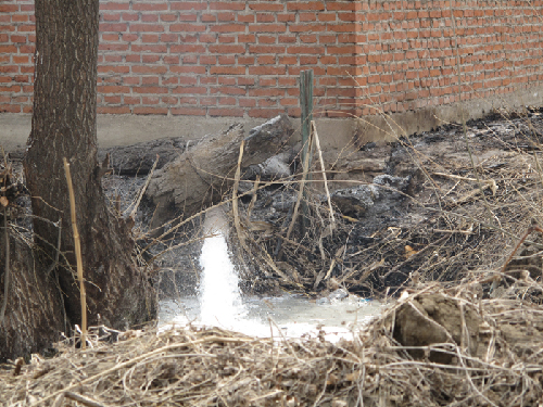 調(diào)查：沈陽小造紙廠違規(guī)排污、貽害居民