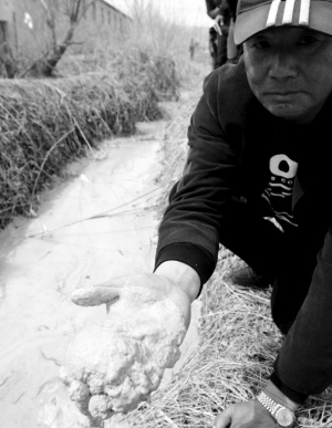 “復活”的造紙廠 尋遼中珍珠湖現(xiàn)大量死魚真相