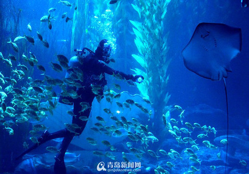 'Dance with the shark' to greet Spring Festival