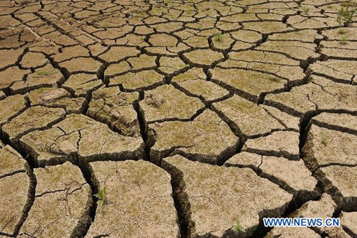 Severe drought hits Qingyuan in S China