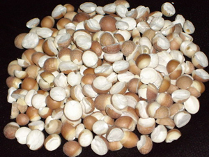 山東地方特產(chǎn)