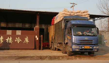 2009：中國瘋狂的大蒜