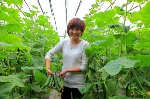 “農超對接”穩菜價