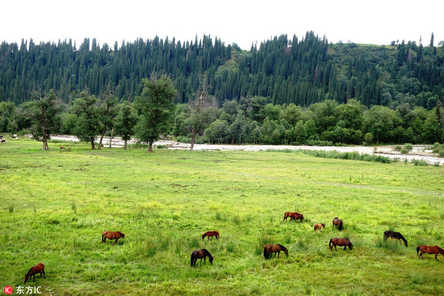 24 Solar Terms: 10 things you may not know about White Dew