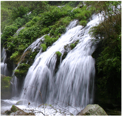 Three Gorges Household