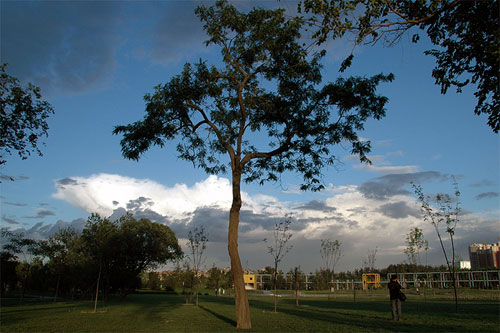 Location: Sun Palace Park