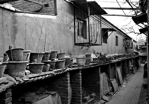 The hutong near Gulou (the Drum Tower)