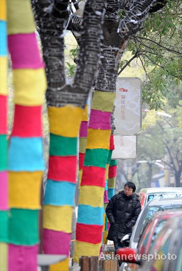 Trees dressed up for winter chill