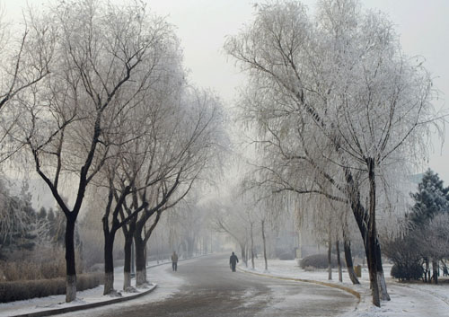 Thick fog encloses 'Ice City'