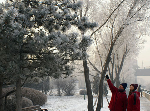 Thick fog encloses 'Ice City'