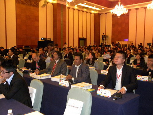 Chengdu in the eyes of foreign professionals