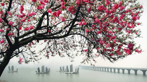 優美的生態環境