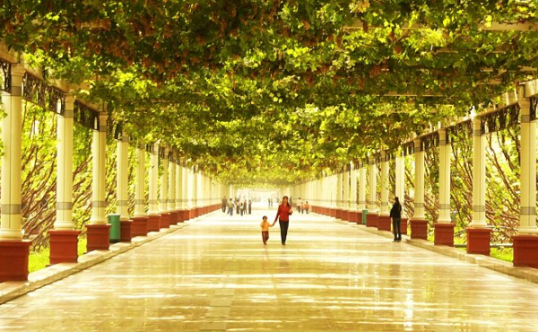 Turpan grapes to dazzle residents of Changsha