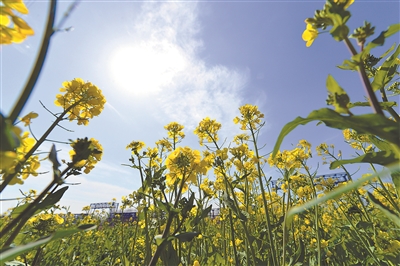 Nanjing sees crystal blue sky