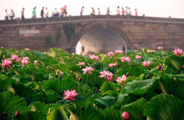 General situation of Zhejiang