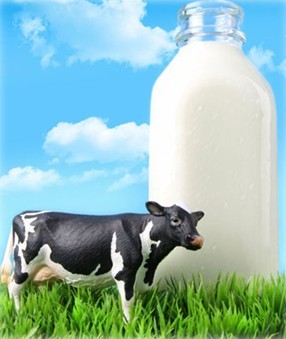 1號店:歐美乳品企業寄予中國市場極高期望