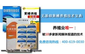 關(guān)于黃鱔養(yǎng)殖技術(shù)資料網(wǎng)絡調(diào)查