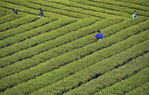 'Tourism Year of China' opens in Moscow