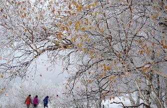Lantern show held in Beijing