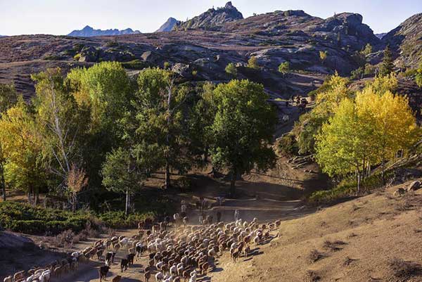 Airy scenes lure tourists north