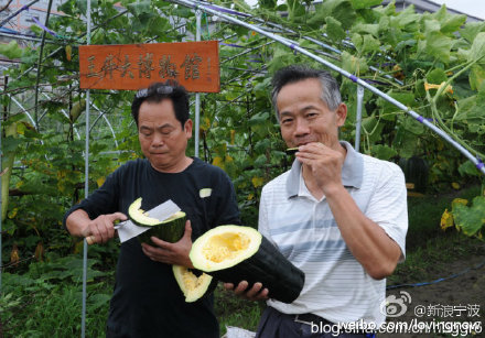 Chongqing discovers novel way to escape heat