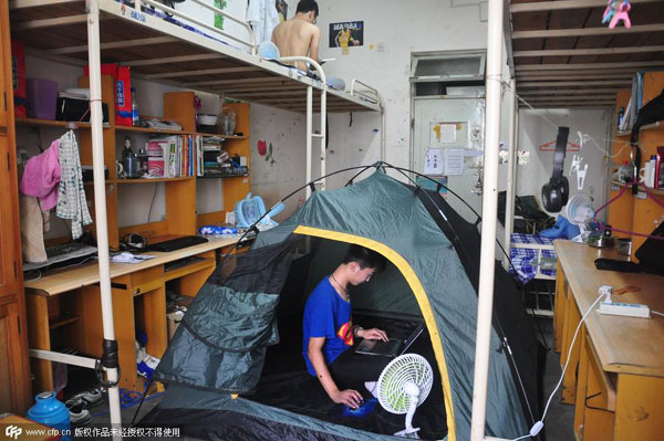 Businessman spends $12m, five years on private garden