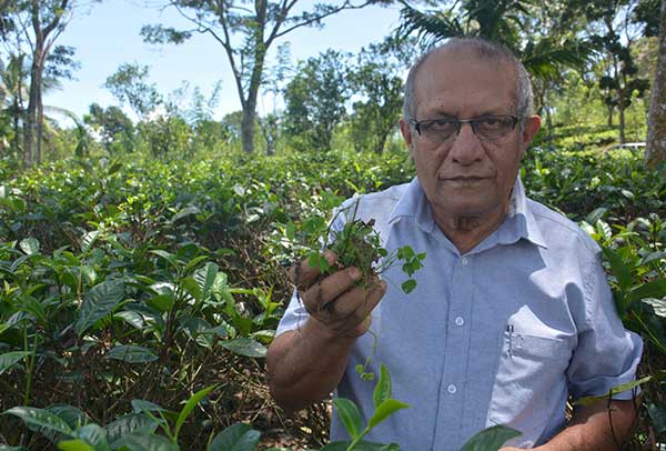 When millions of feet return, the farmers rejoice