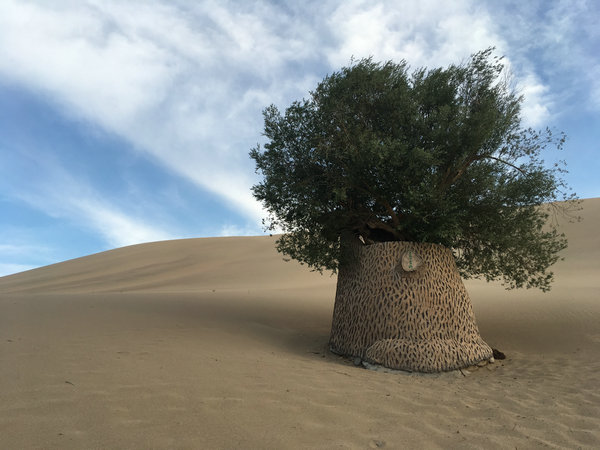 Warriors of the sand dunes