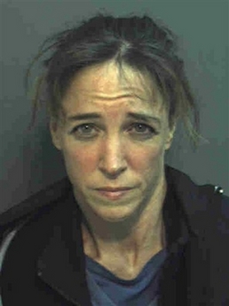 Astronaut charged with kidnap attempt