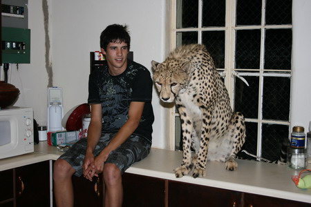 Woman lives with cheetahs, lion, wolves