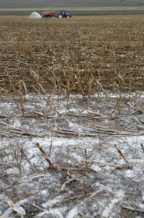 Czech farmers dump milk to protest price slump